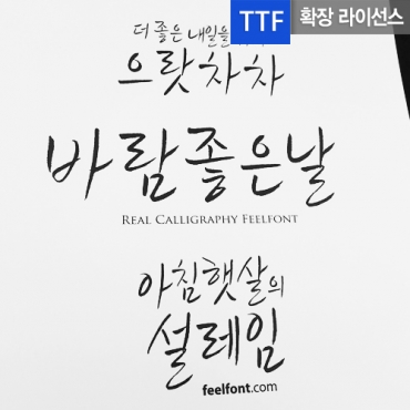 필바람 확장 TTF 입니다.