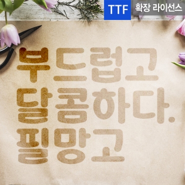 필망고 확장 TTF 입니다.